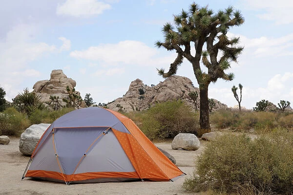 Tent Camping at Hidden Valley campground Joshua Tree National Park