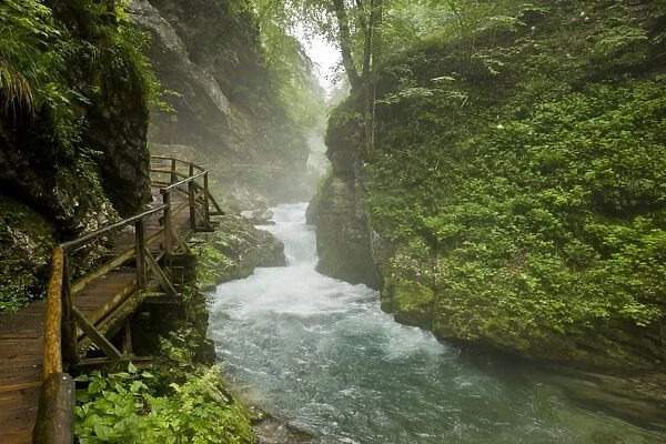 Boardwalk in mountain river gorge, Radovna River, Vintgar Gorge, Triglav N. P. Julia Alps, Slovenia, june
