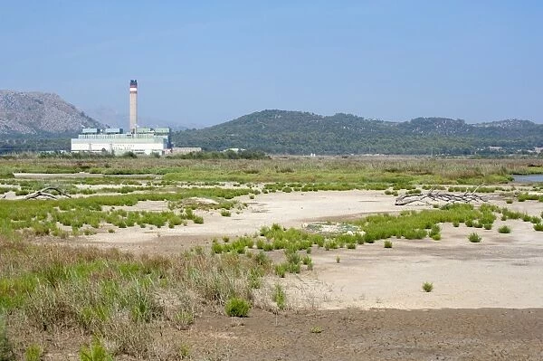 View of marshland habitat with Es Murterar coal-fired powerstation in distance,s Albufera De Mallorca Natural Park