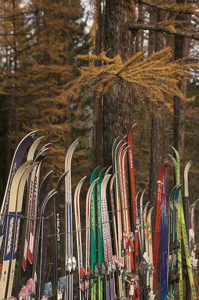 02. CANADA, British Columbia, Kimberly. Snow Fence made from Old Skis