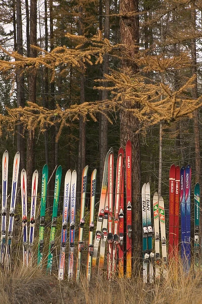 02. CANADA, British Columbia, Kimberly. Snow Fence made from Old Skis