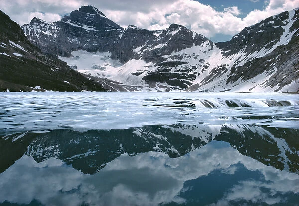 Canada, British Columbia, Lake McArthur. A glacier tarn, Lake McArthur reflects blossoming
