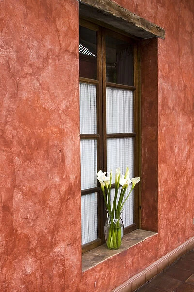 Central America, Guatemala, Antigua. Calla Lilies in vase on window ledge of hotel