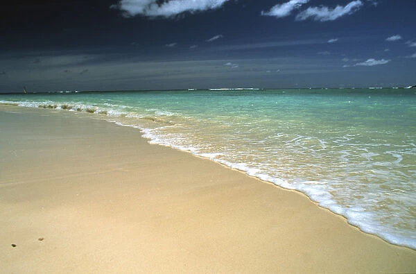 North America, USA, Hawaii. Beach scene
