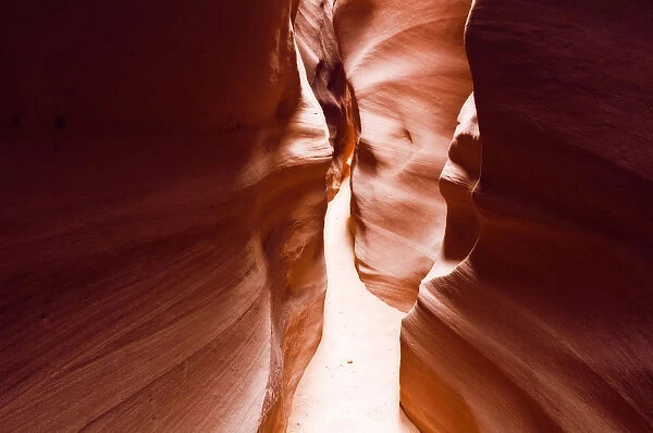 Slot canyon in Spooky Gulch, Grand Staircase-Escalante National Monument, Utah USA