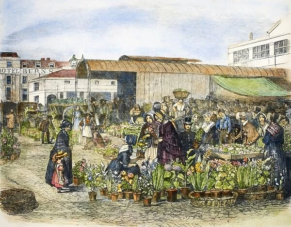 COVENT GARDEN, 1848. The flower market at Covent Garden, London, England. Wood engraving, English, 1848
