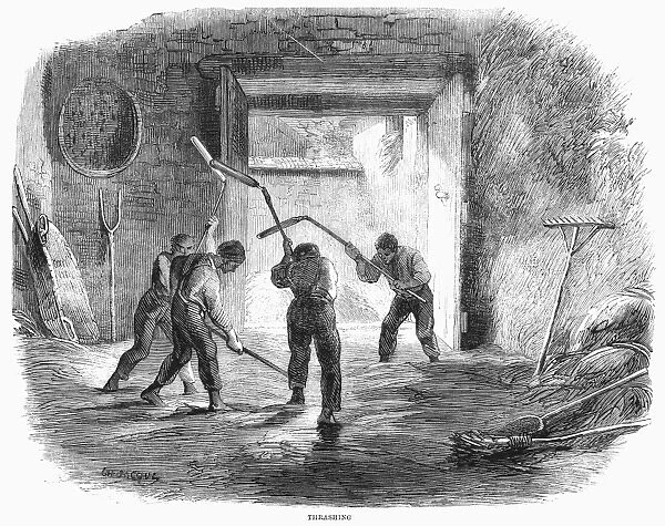 FARMING: THRESHING WHEAT. Threshing with hand flails. Wood engraving, 1859