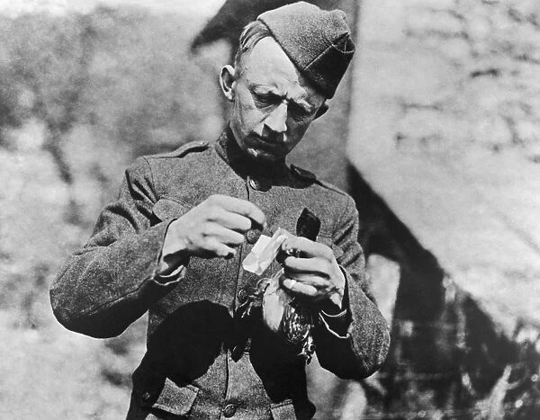 WORLD WAR I: HOMING PIGEON. A soldier removes a message from the leg of a homing