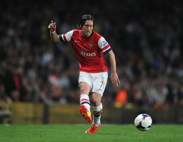 Arsenal's Rosicky Shines in Action-Packed Arsenal v Newcastle United Premier League Clash