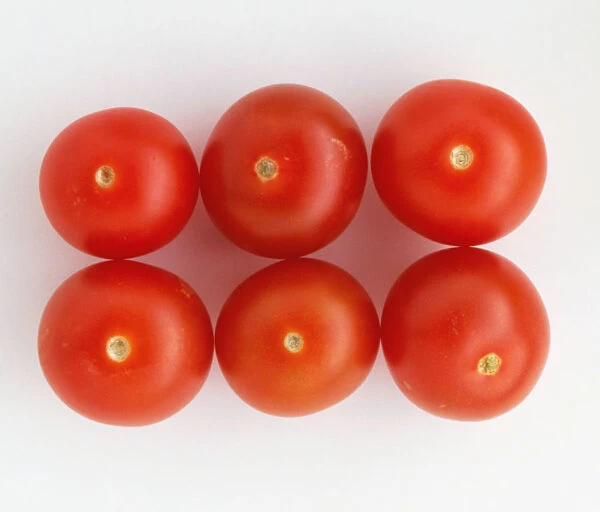 6 vine tomatoes