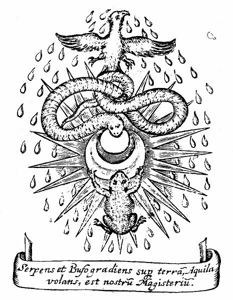 Alchemical symbolism: toad and serpent represent two basic types of element, fixed and earthy