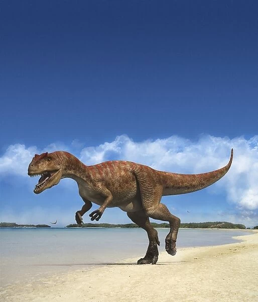 Allosaurus on beach in prehistoric landscape