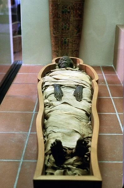 Ancient Egyptian mummy in wrappings. Vatican Museum