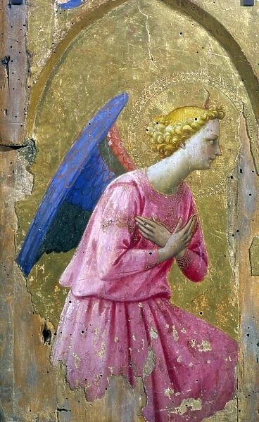 Angel in Adoration painting on wood. studio of Fra Angelico (born Guido di Pietro