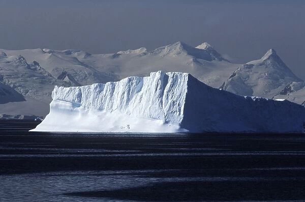 Antarctica, Antarctic Peninsula, Tabular iceberg