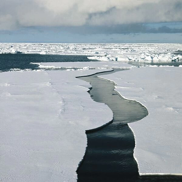 Antarctica, Ross Sea, Ice floes on sea
