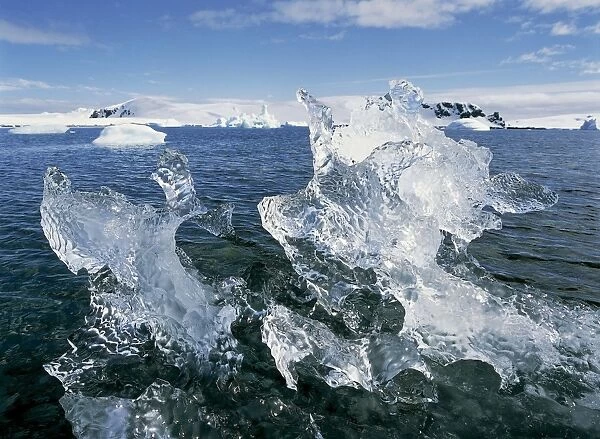 Antarctica, South Shetland Islands, Half Moon Bay, ice formations