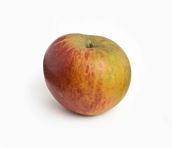 Apple Ribston Pippin, grown in Great Britain