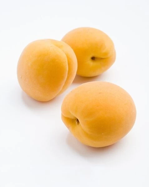 Apricots on white background, close-up