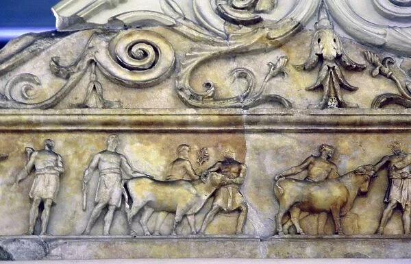 Ara Pacis (Altar of Augustan Peace), Rome, consecrated in 9 BC. Cattle being led to sacrifice
