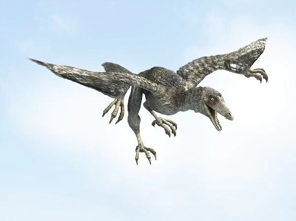 Archaeopteryx in flight