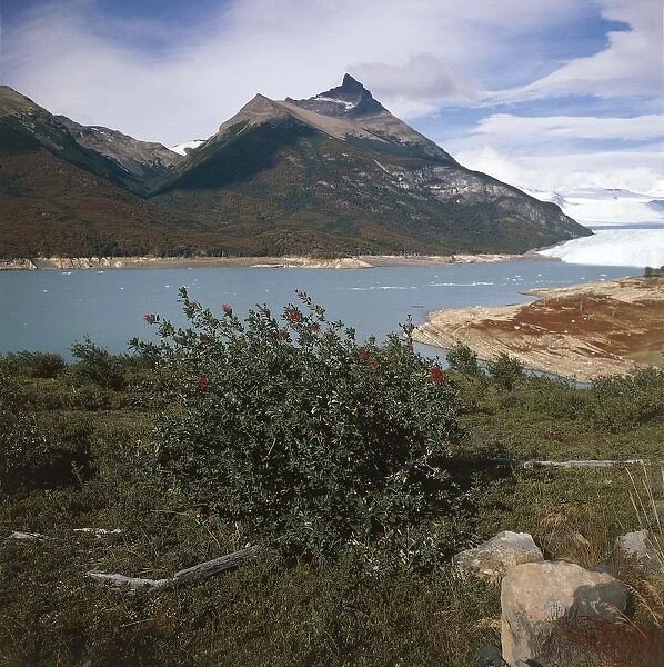 Argentina, Patagonia, Los Glaciares National Park (UNESCO World Heritage List, 1981). Argentino Lake