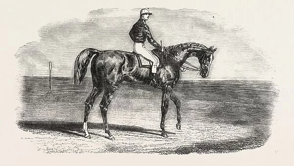 ASCOT RACES: WOOLWICH, THE WINNER OF THE EMPERORs VASE; Little Jack made all the running