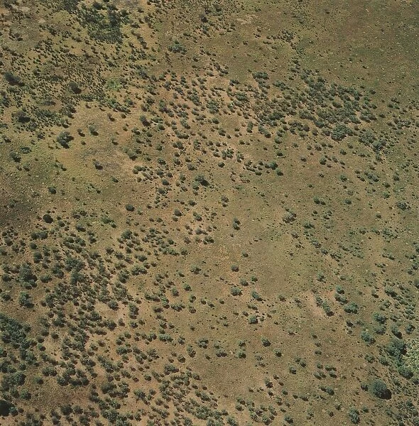 Australia, Aerial view of Simpson Desert in Northern Territory