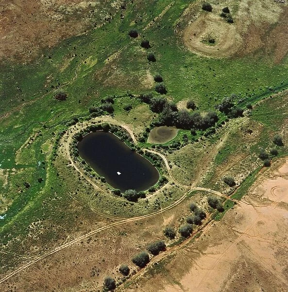 Australia, Kimberley Region, Aerial view of cattle watering in pond