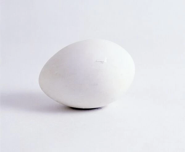 Aylesbury duck egg with tiny crack visible