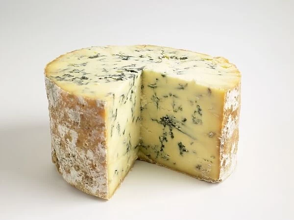 Baby Stilton, a British blue cheese made with cows milk, close-up