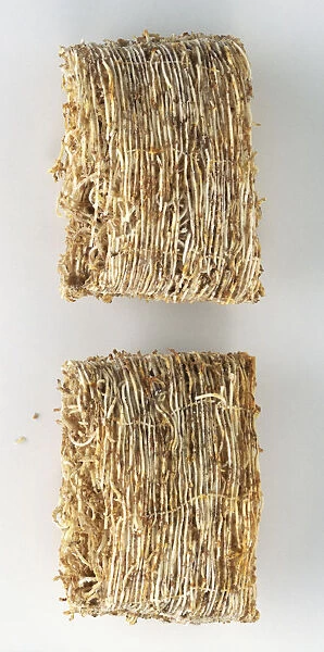 Two bars of breakfast cereal, close up