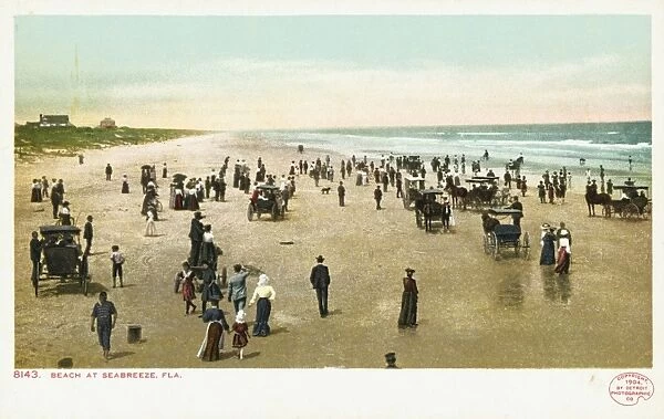 Beach at Seabreeze, Fla. Postcard. 1904, Beach at Seabreeze, Fla. Postcard