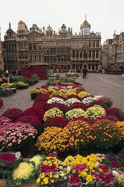 Belgium, Brussels, the Grand Place, morning flower market with flower stalls on display