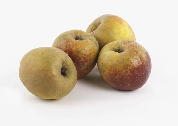 Belle de Boskoop apples
