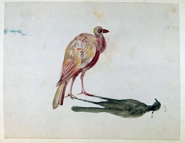 A Bird. Watercolour. Aurore Amadine Lucie Dupin (1804-1876) French novelist