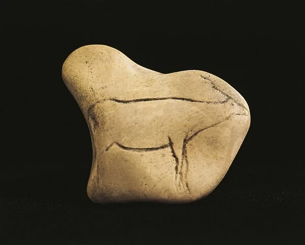 Bone engraved with figure of deer, from Laugerie-Basse in Aquitaine