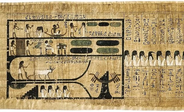 Book of the Dead on papyrus showing written hieroglyphs. Depiction of ploughing with