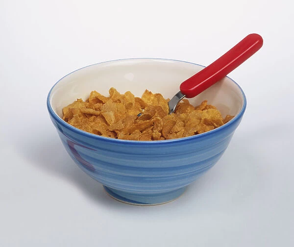 Bowl of breakfast cereals with spoon embedded