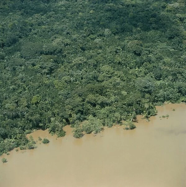 Brazil, Aerial view of the Amazon Rainforest along the Amazon River