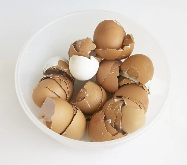 Brown and white eggshells in plastic bowl