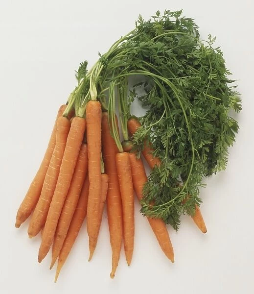 Bunch of carrots with green shoots