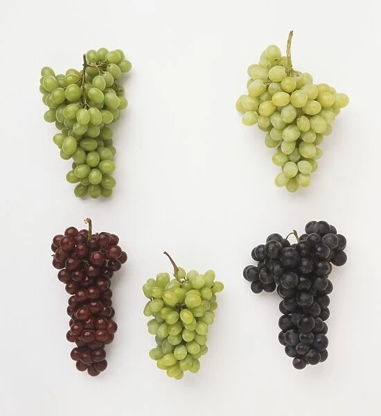 Five bunches of white and black grapes