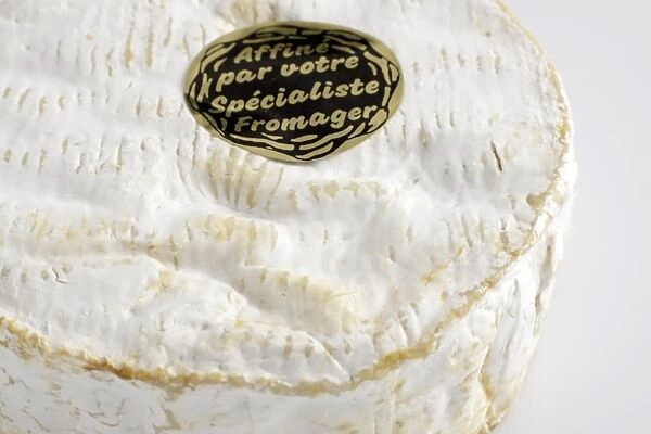 Camembert cheese, close-up