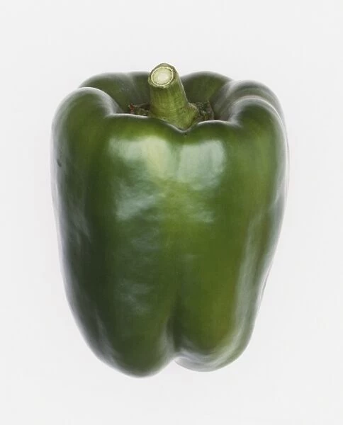 Capsicum annuum, green Bell Pepper
