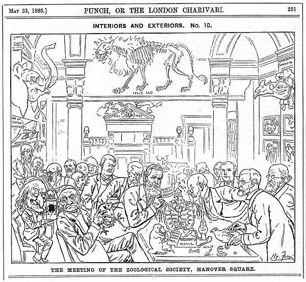 Cartoon by Harry Furniss of a meeting of the (Royal) Zoological Society, London