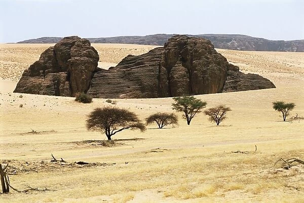 Chad, Ennedi Massif, surroundings of Guelta d Archei