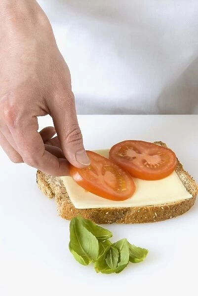 Cheese, Tomato and Basil Sandwich
