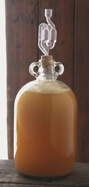 Close-up of Airlock over Demijohn containing Apple Juice