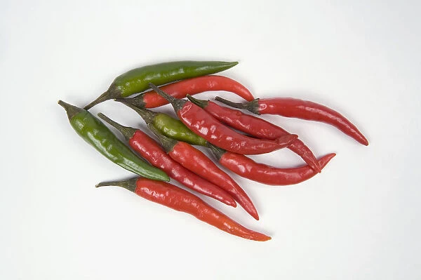 Close-up of Thai chilli peppers